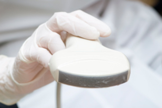 Fertilité et nutrition